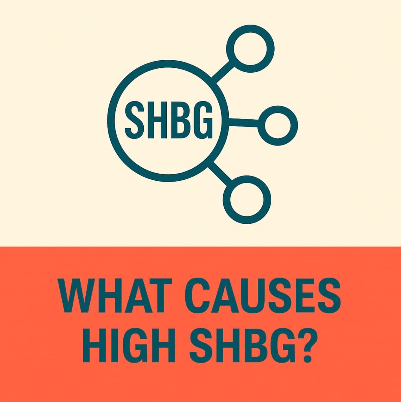What Causes High SHBG? Understanding the Factors Behind Sex Hormone-Binding Globulin Imbalance