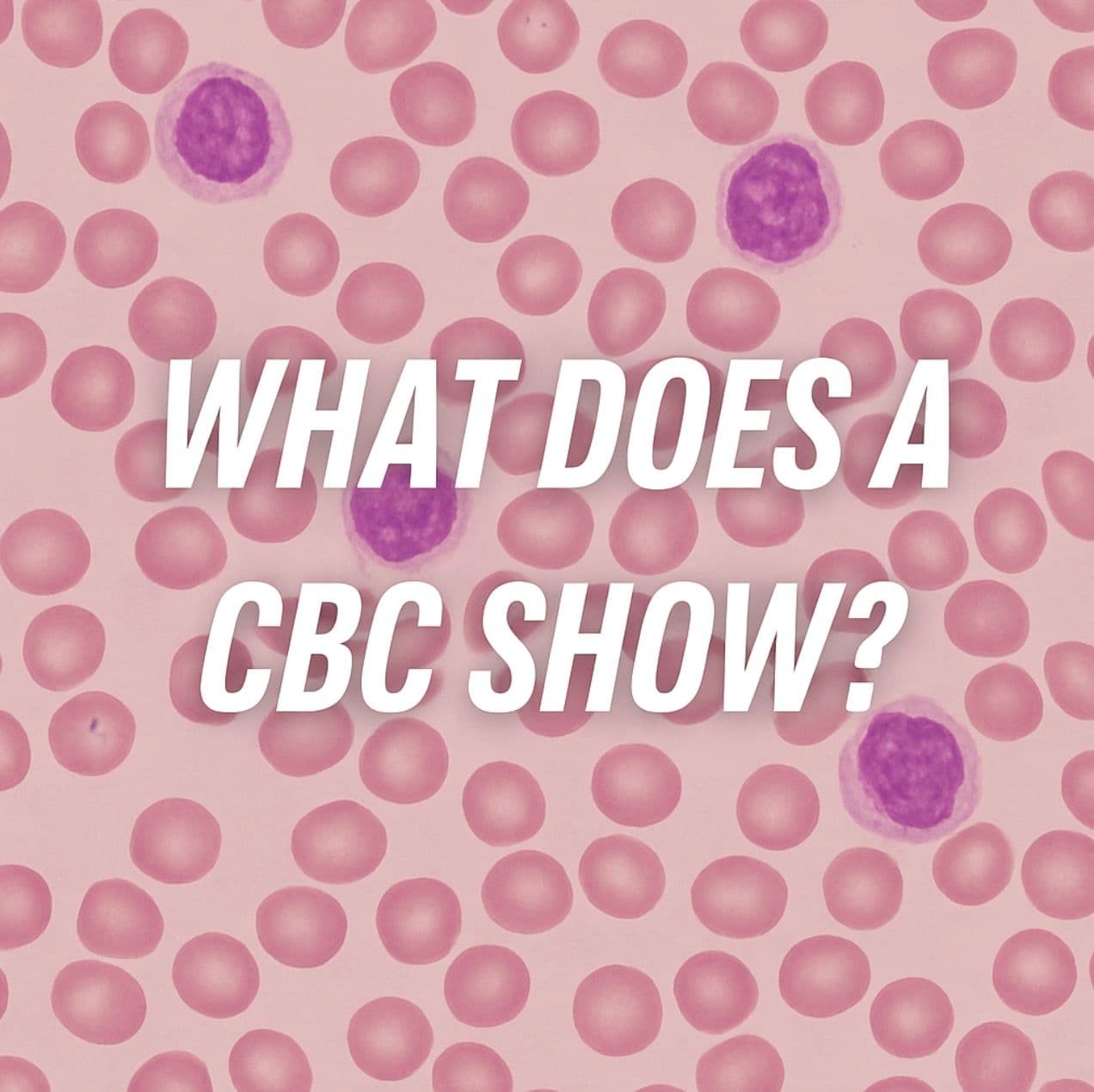 What Does a CBC Show? A Complete Guide to the Test and Its Importance