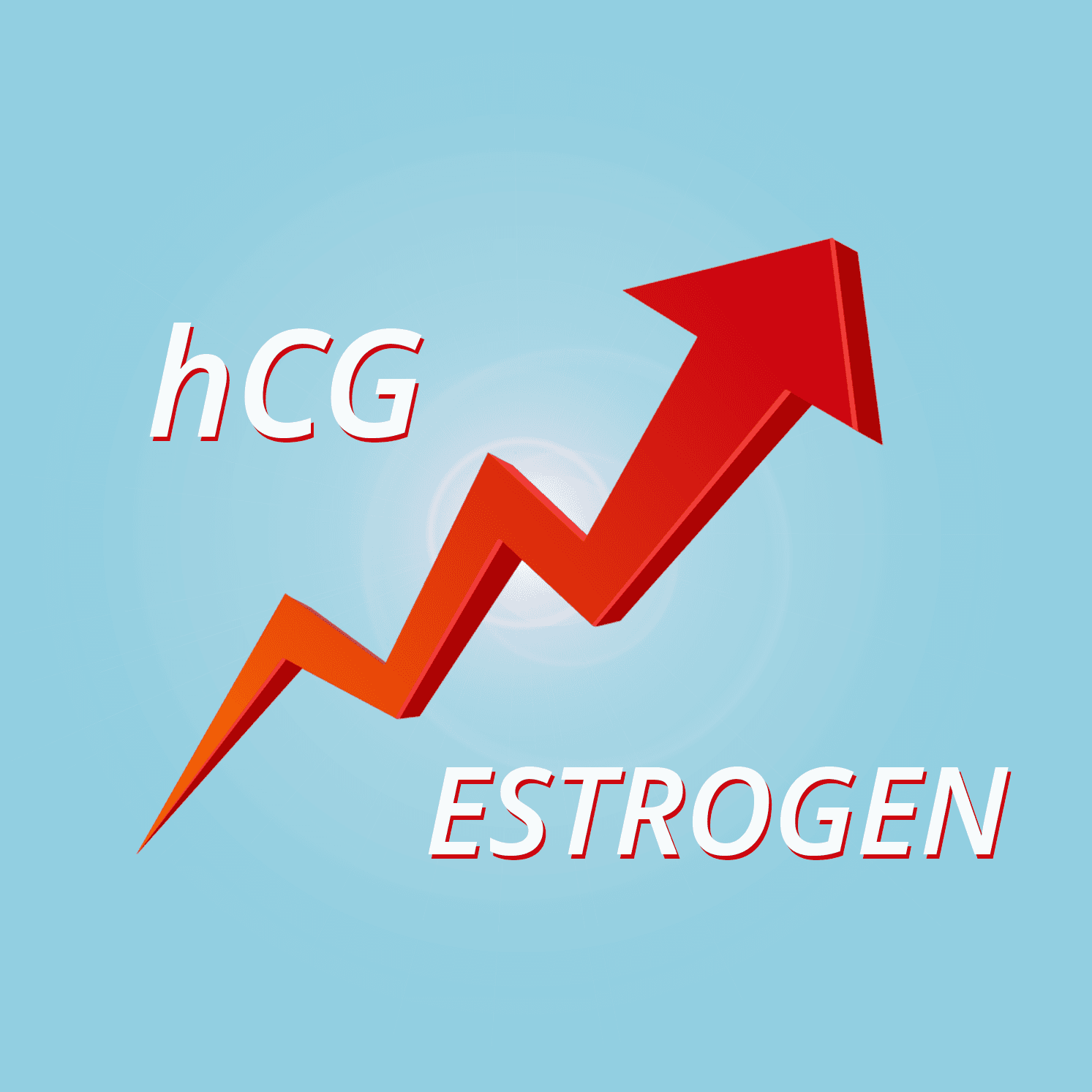 Does HCG Increase Estrogen Levels in Males?